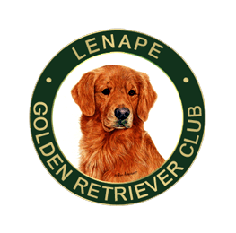 Lenape Golden Retriever Club