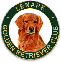 Lenape Golden Retriever Club